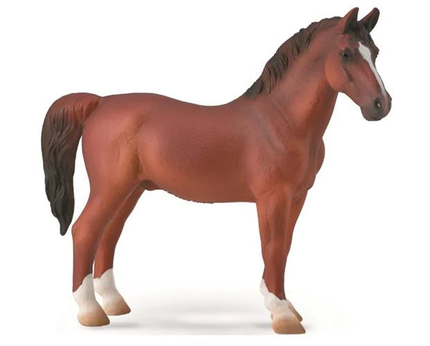 Hackney Stallion Chestnut