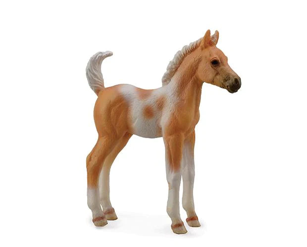 Palomino Pinto Foal