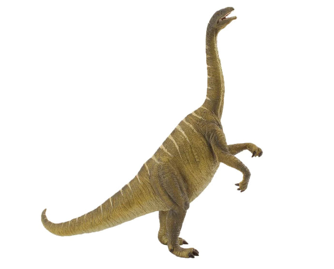 Plateosaurus